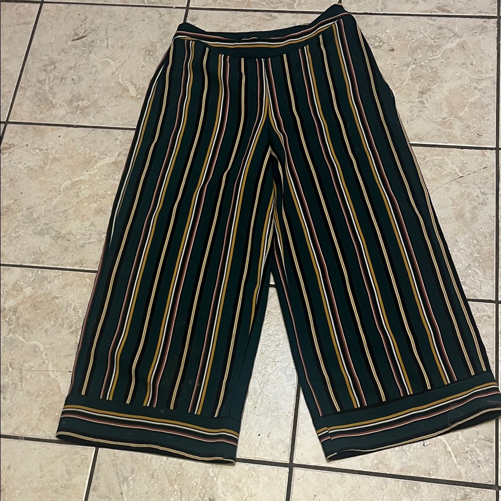 Evolutionary Green Striped Capris S NWOT